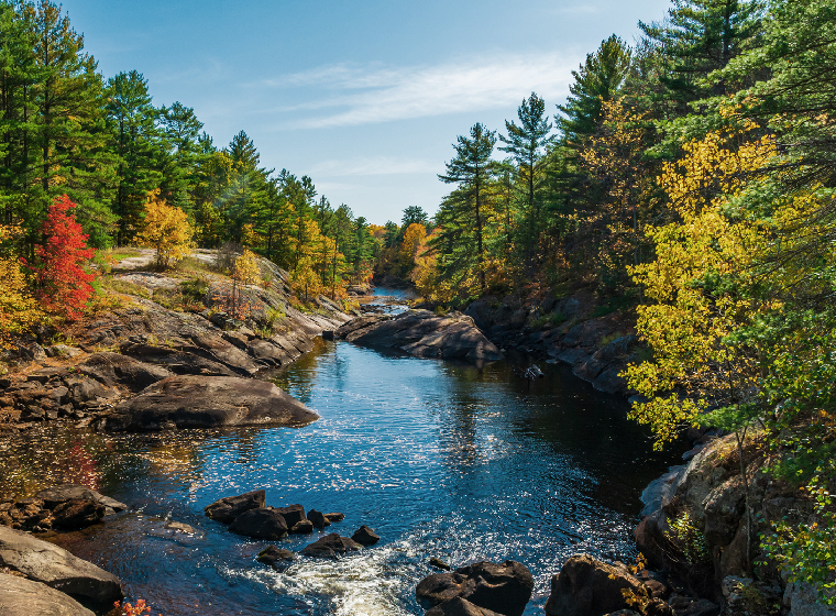 ministry-of-environment-conservation-and-parks